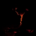 personal_37